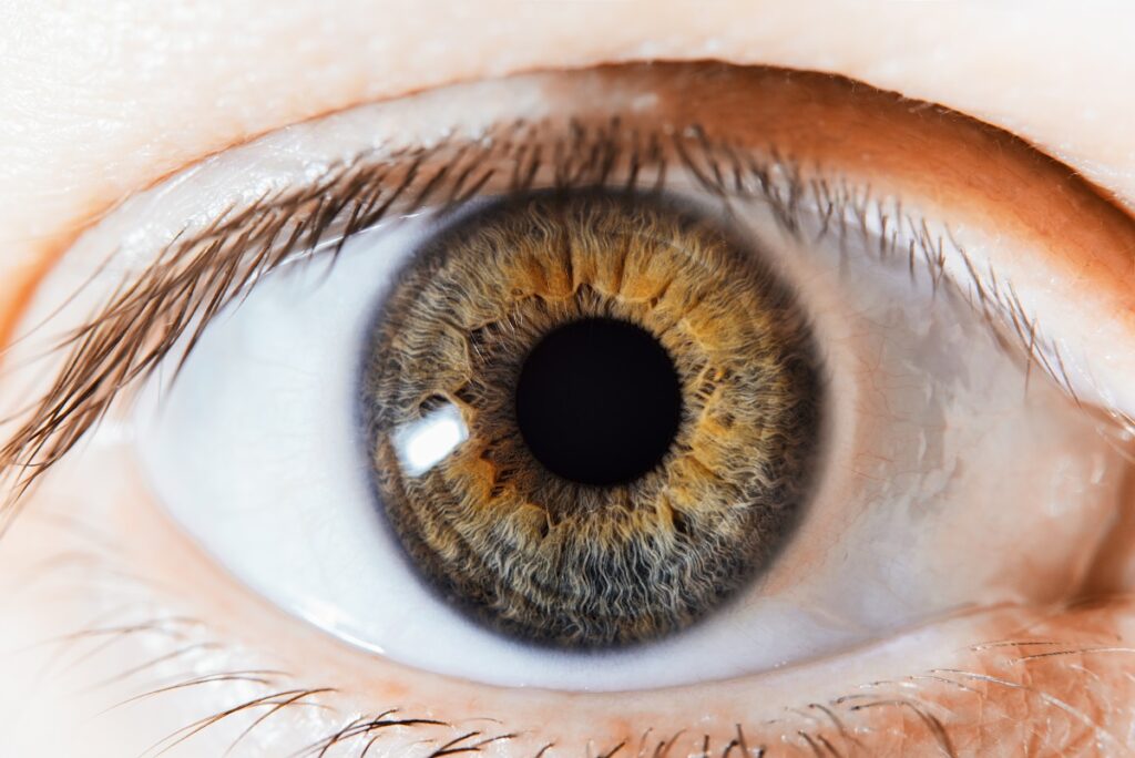 Пахиметрия точная диагностика роговицы глаза
